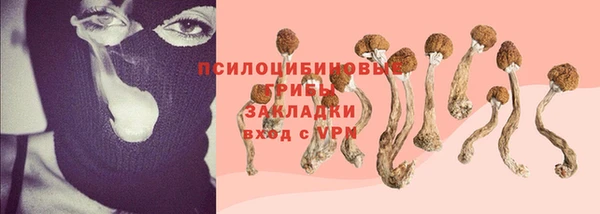не бодяженный Надым