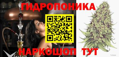 сатива Канаш
