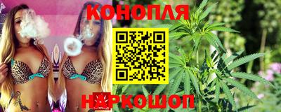 сатива Канаш