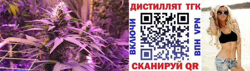 Дистиллят ТГК вейп с тгк  сайты даркнета клад  Новоалександровск  купить наркотики сайты 