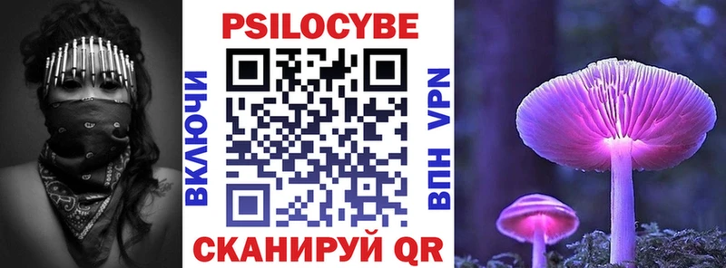 Псилоцибиновые грибы Psilocybine cubensis  omg вход  Новоалександровск 
