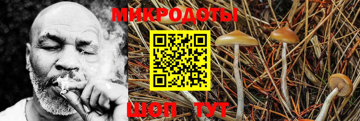 Галлюциногенные грибы Psilocybine cubensis  Псилоцибиновые грибы Magic Shrooms  Новоалександровск  Вход с VPN 