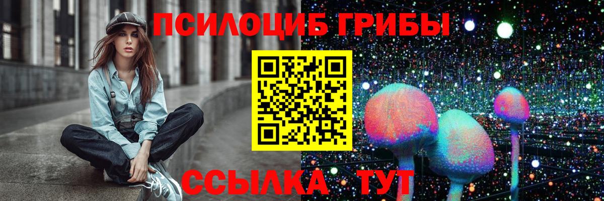 Псилоцибиновые грибы Psilocybine cubensis Новоалександровск