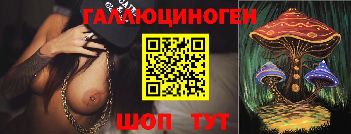 Псилоцибиновые грибы GOLDEN TEACHER Новоалександровск