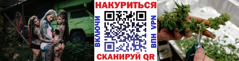 наркота  Новоалександровск  Конопля SATIVA & INDICA 