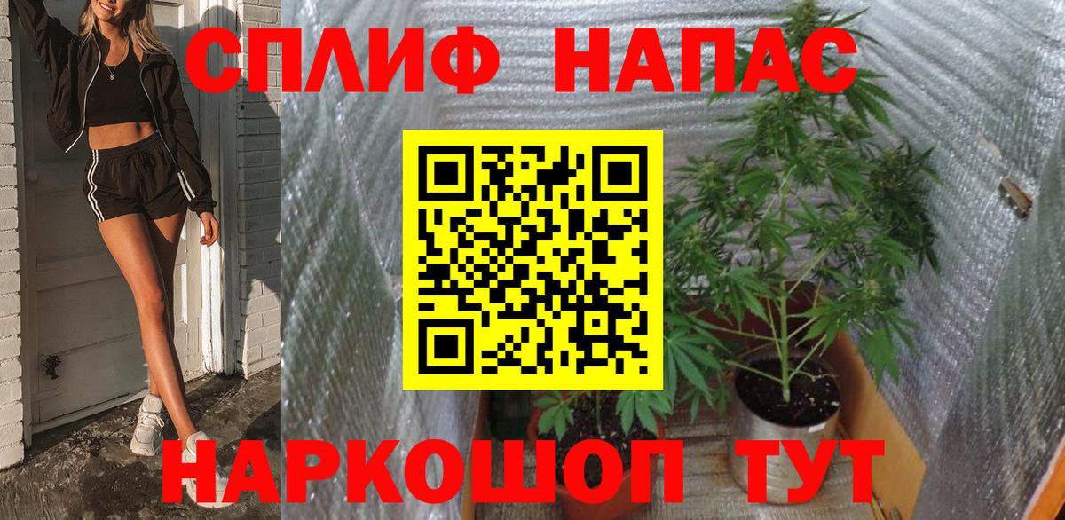 Марихуана гибрид Новоалександровск